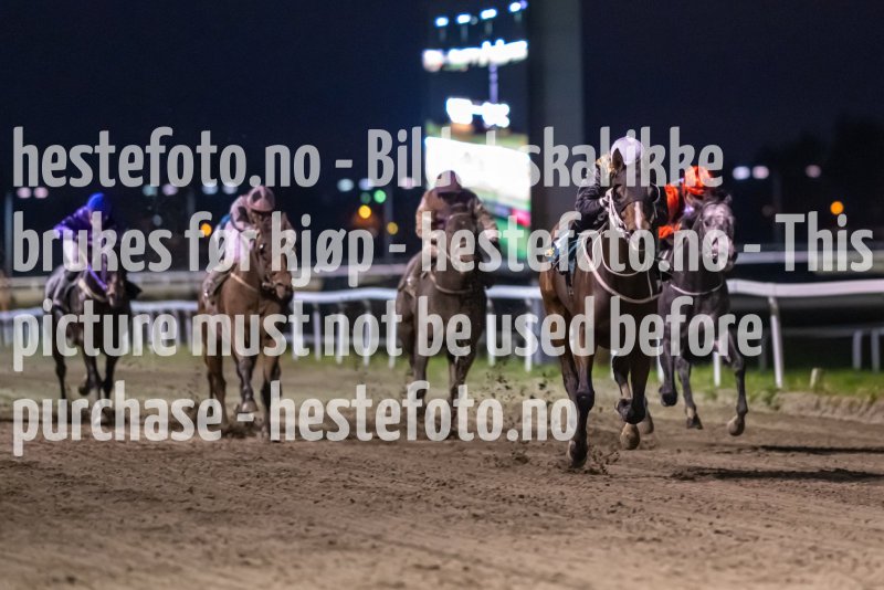 20221020-184330-DSC_8166