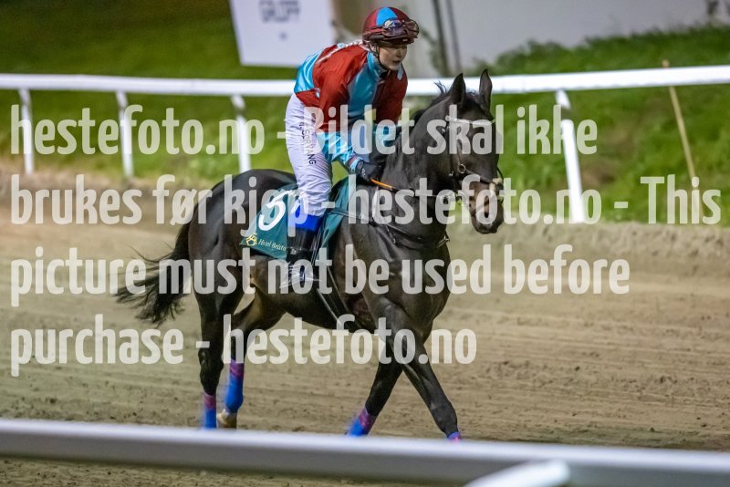 20221020-192549-DSC_8715