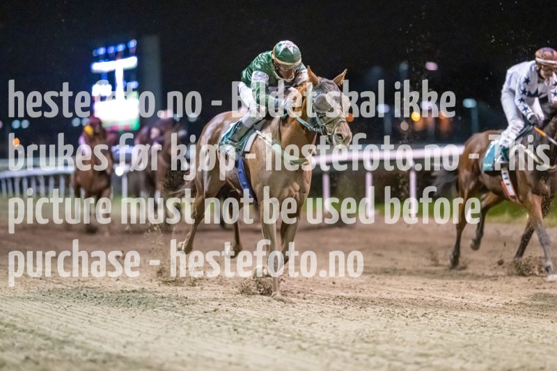 20221020-193416-DSC_8966