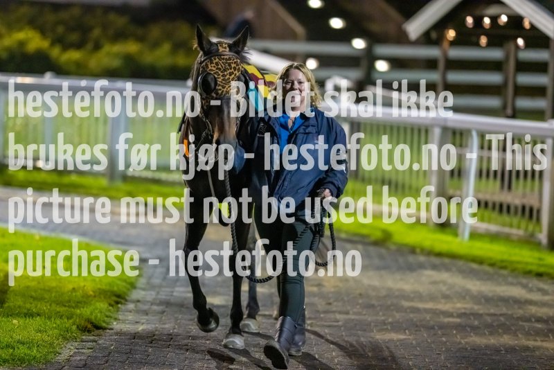 20221020-194336-DSC_9093