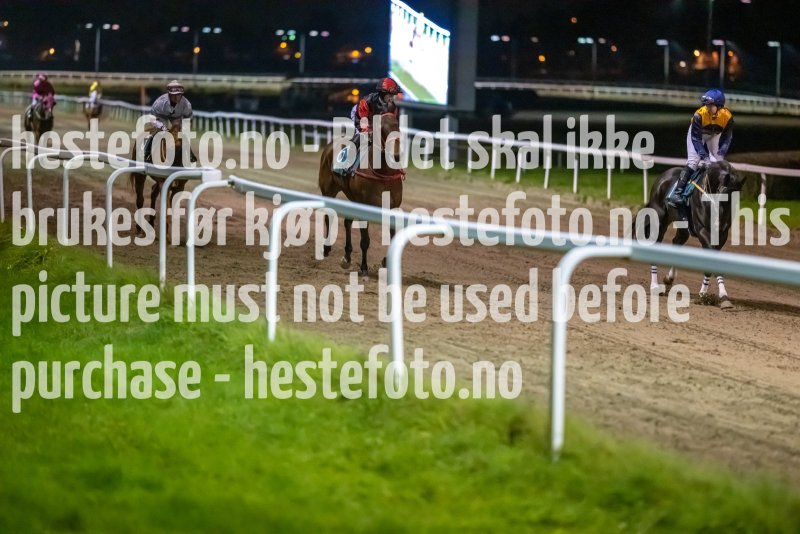 20221020-195250-DSC_9308