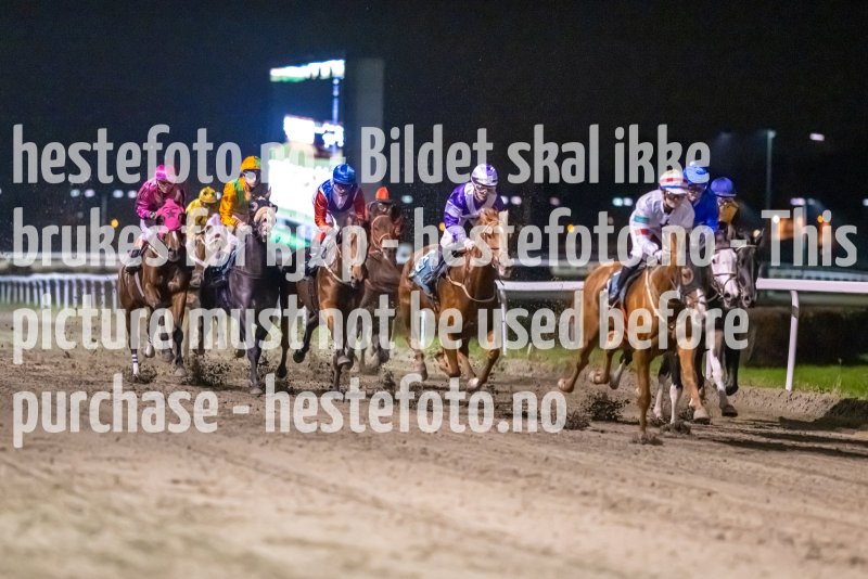 20221020-195909-DSC_9532