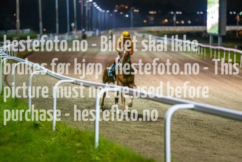 20221020-201705-DSC_9912