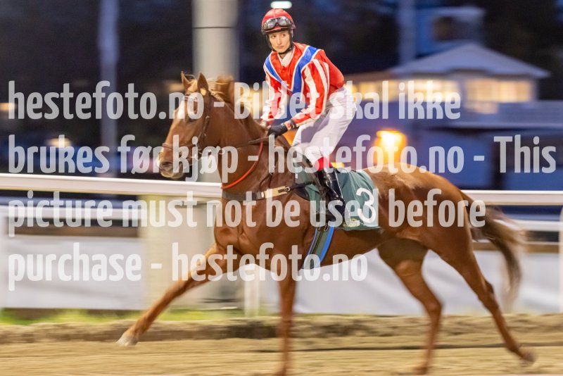 20221027-181151-DSC_0187