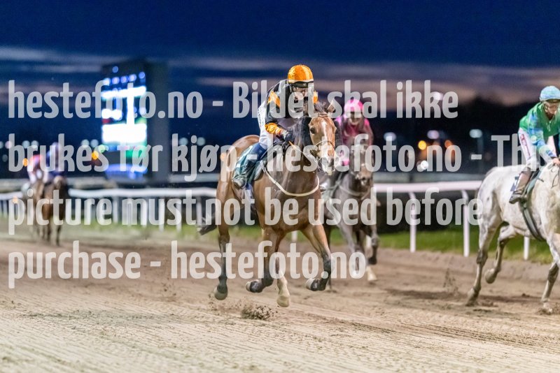 20221027-182015-DSC_0453