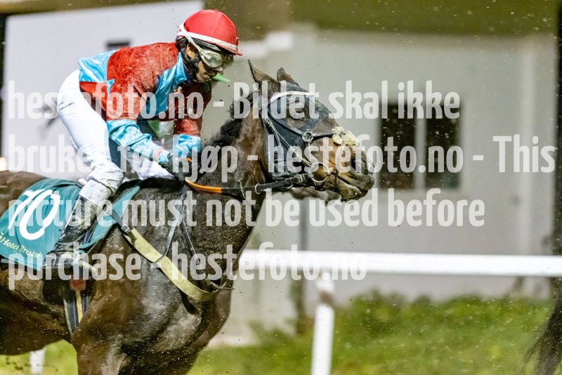 20221027-193739-DSC_1842
