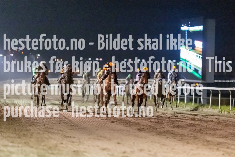 20221027-193907-DSC_1898