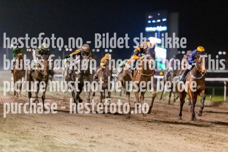 20221027-193908-DSC_1925