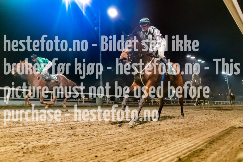 20221027-193952-DSC7164