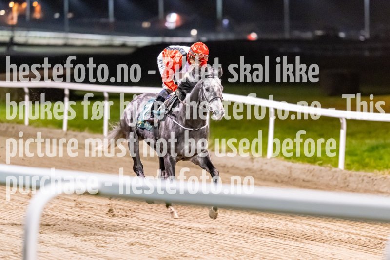 20221027-202440-DSC_2815
