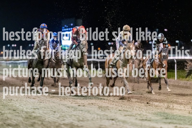 20221027-203104-DSC_3008
