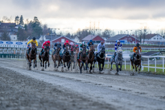 20221106-152420-DSC_6044