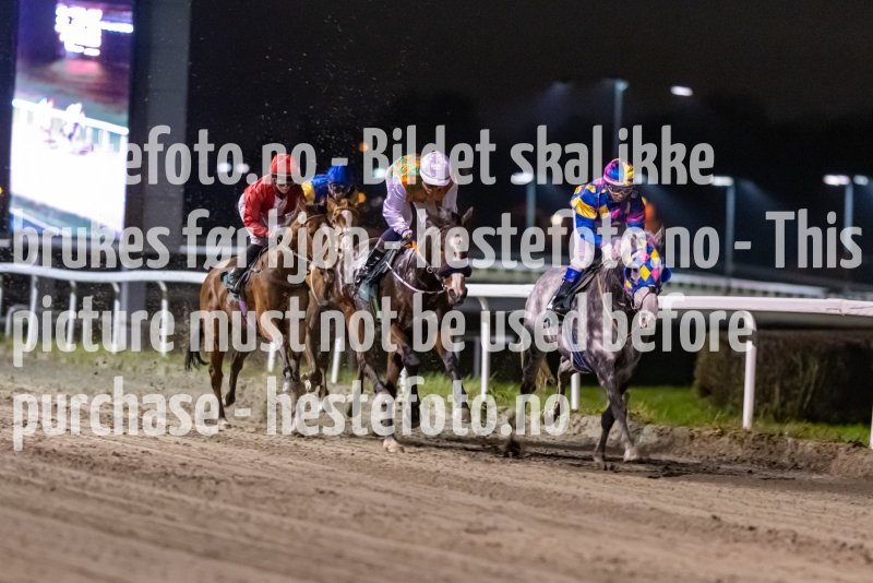20221110-185438-DSC_7102