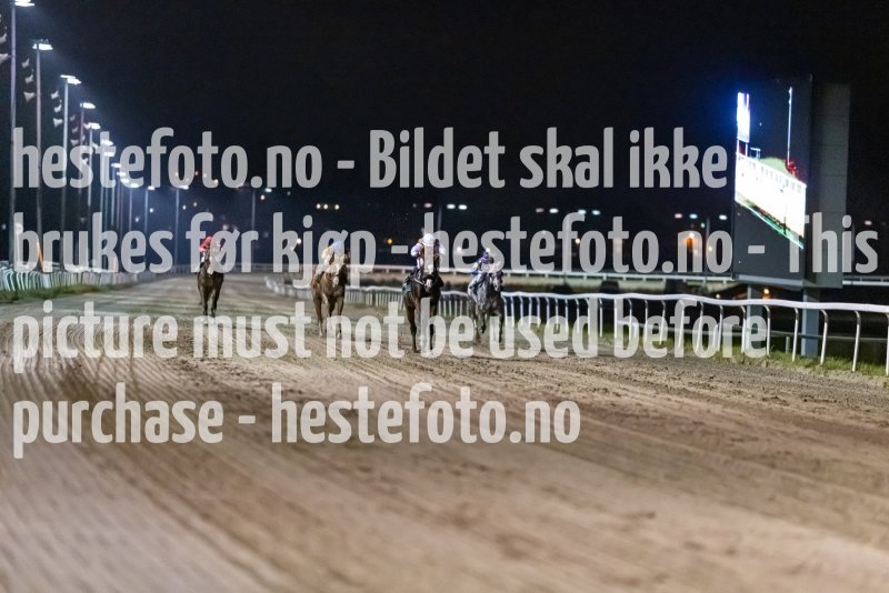20221110-185608-DSC_7175