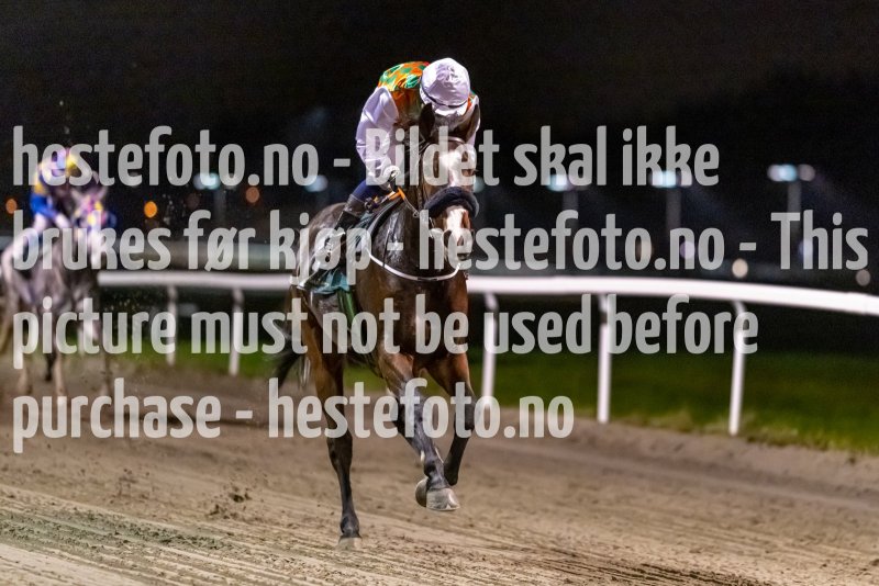 20221110-185612-DSC_7212