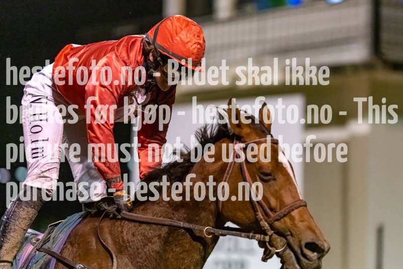 20221110-185615-DSC_7248