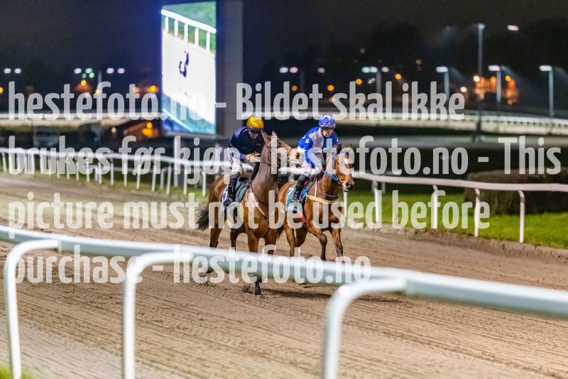 20221110-191148-DSC_7263