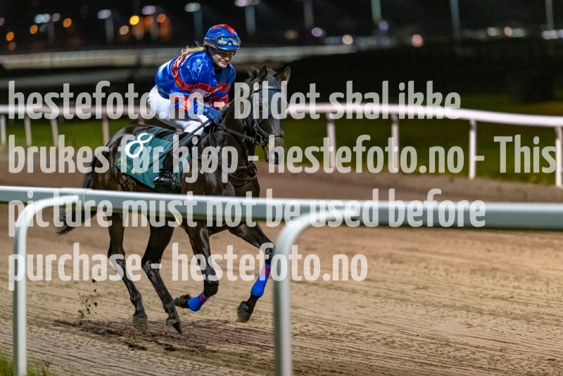 20221110-191200-DSC_7310