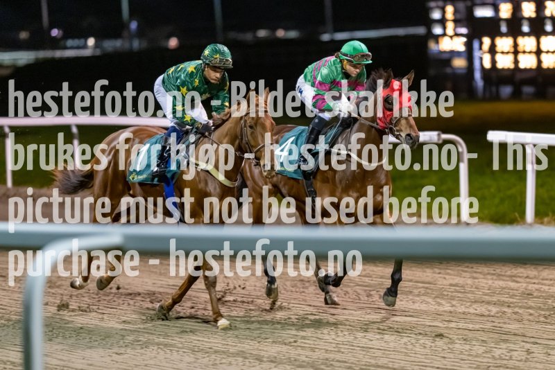 20221110-191226-DSC_7352