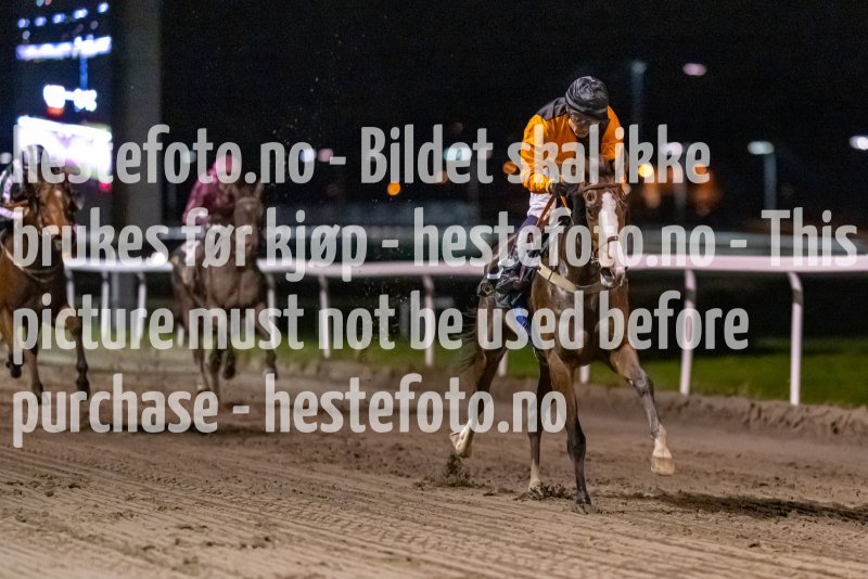 20221110-203353-DSC_8280