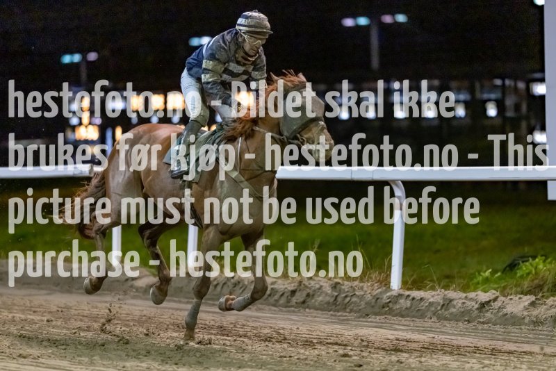 20221110-203358-DSC_8335