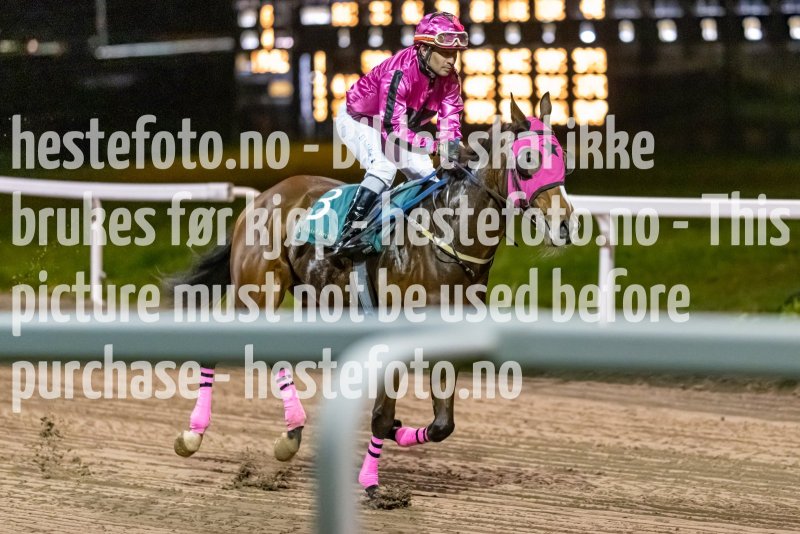 20221110-205255-DSC_8783