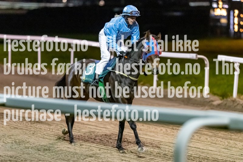20221110-211703-DSC_9258