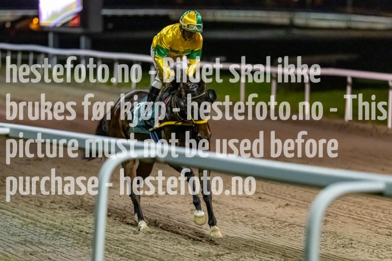 20221110-211710-DSC_9302