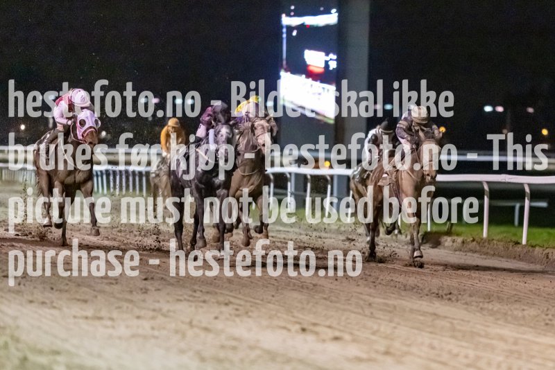 20221110-212333-DSC_9413