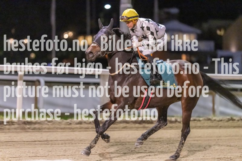 20221117-182304-DSC_9821