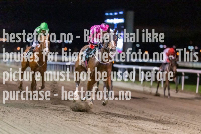 20221117-182912-DSC_9876