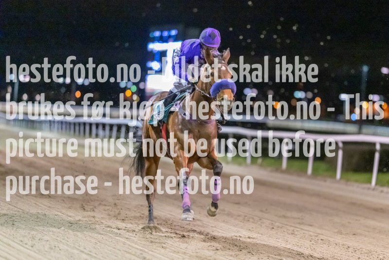 20221117-182914-DSC_9906