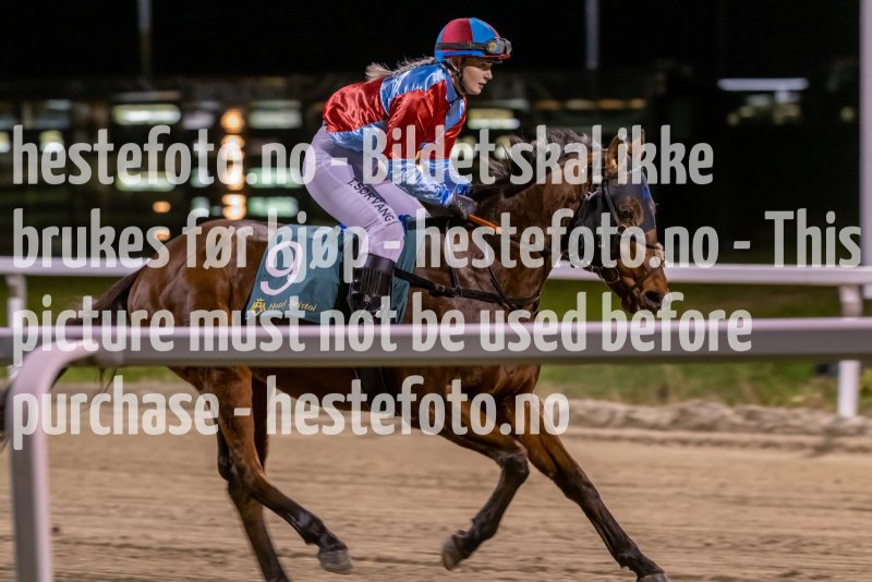 20221117-195951-DSC_1025