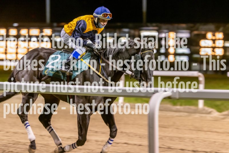 20221117-202625-DSC_1352