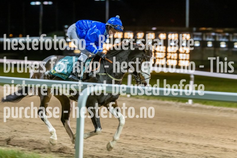 20221117-202644-DSC_1377