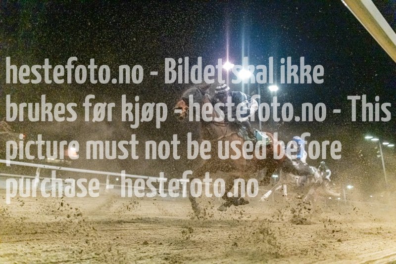 20221117-205801-DSC9477