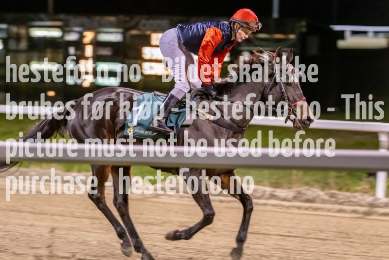 20221117-211505-DSC_1921