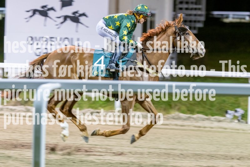 20221117-211655-DSC_1974