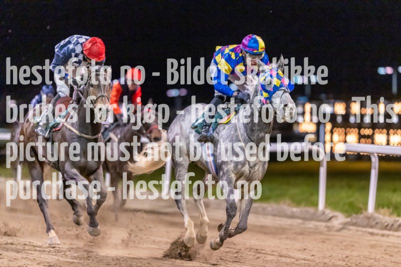 20221117-212422-DSC_2175