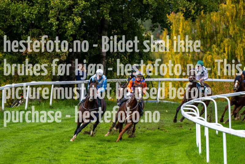 20221002-133815-DSC_2651