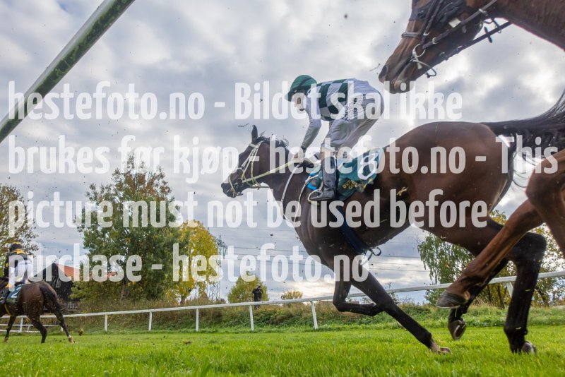 20221002-133929-DSD02894
