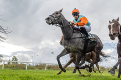 20221002-125118-DSC5399