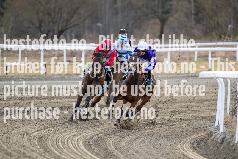 20230427-181826-DSC_6925