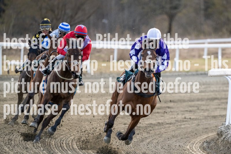 20230427-181827-DSC_6940