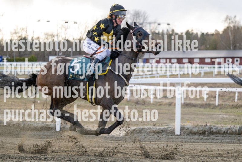20230427-181829-DSC_6984