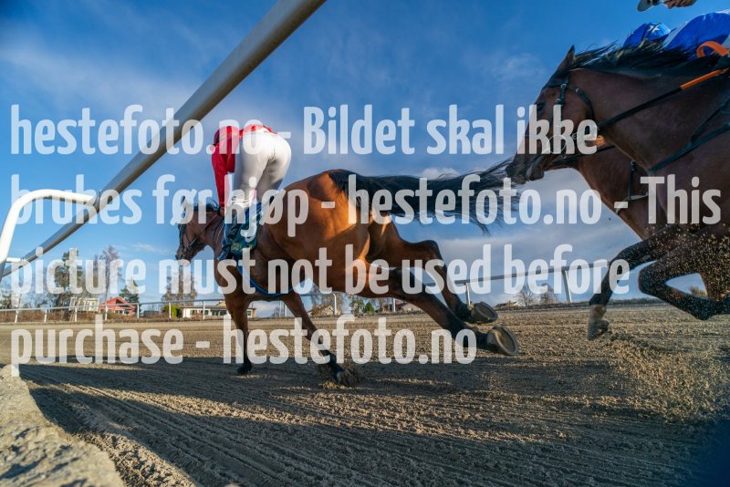 20230427-190721-DSC08717