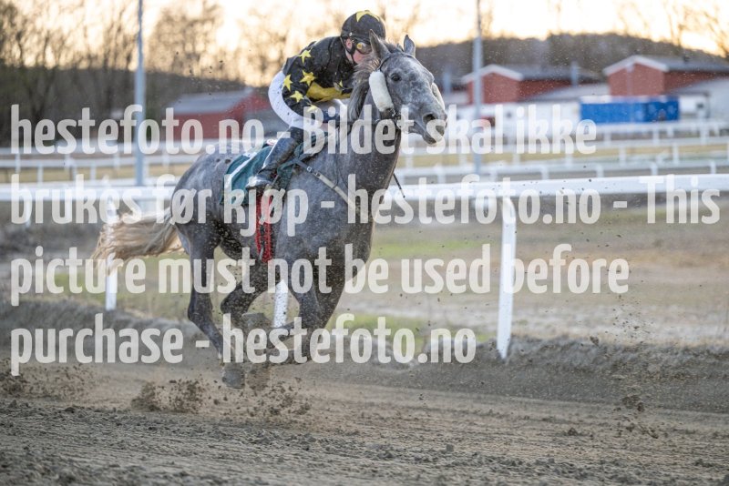 20230427-195923-DSC_7620