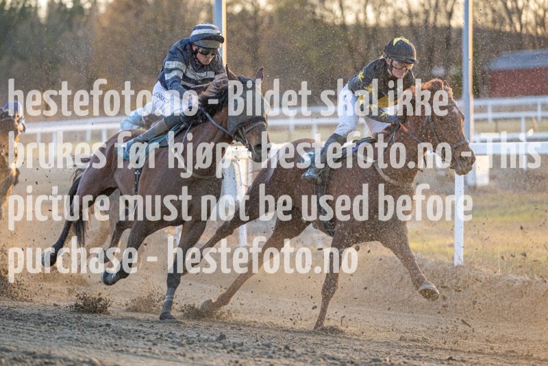 20230427-202503-DSC_7765