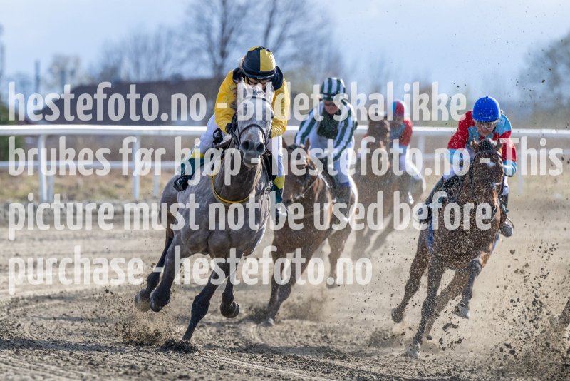 20230504-181753-DSC_1911