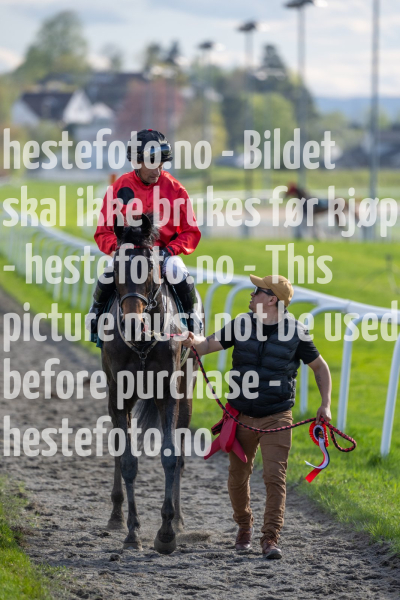 20240509-175710-DSC1958